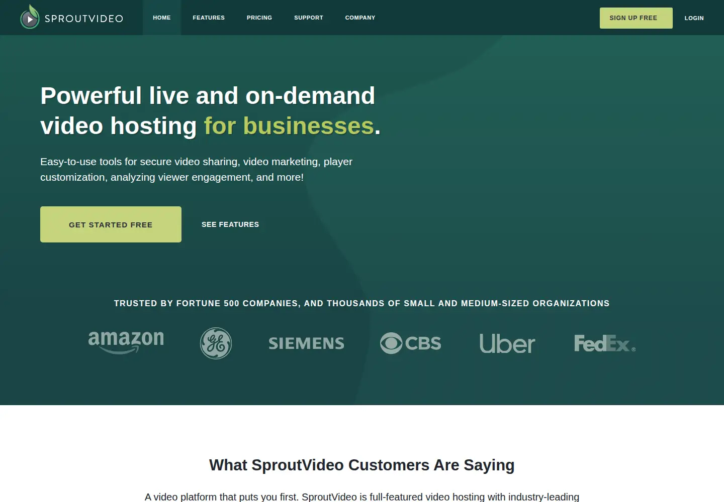 Captured homepage of sproutvideo.com in the current scan