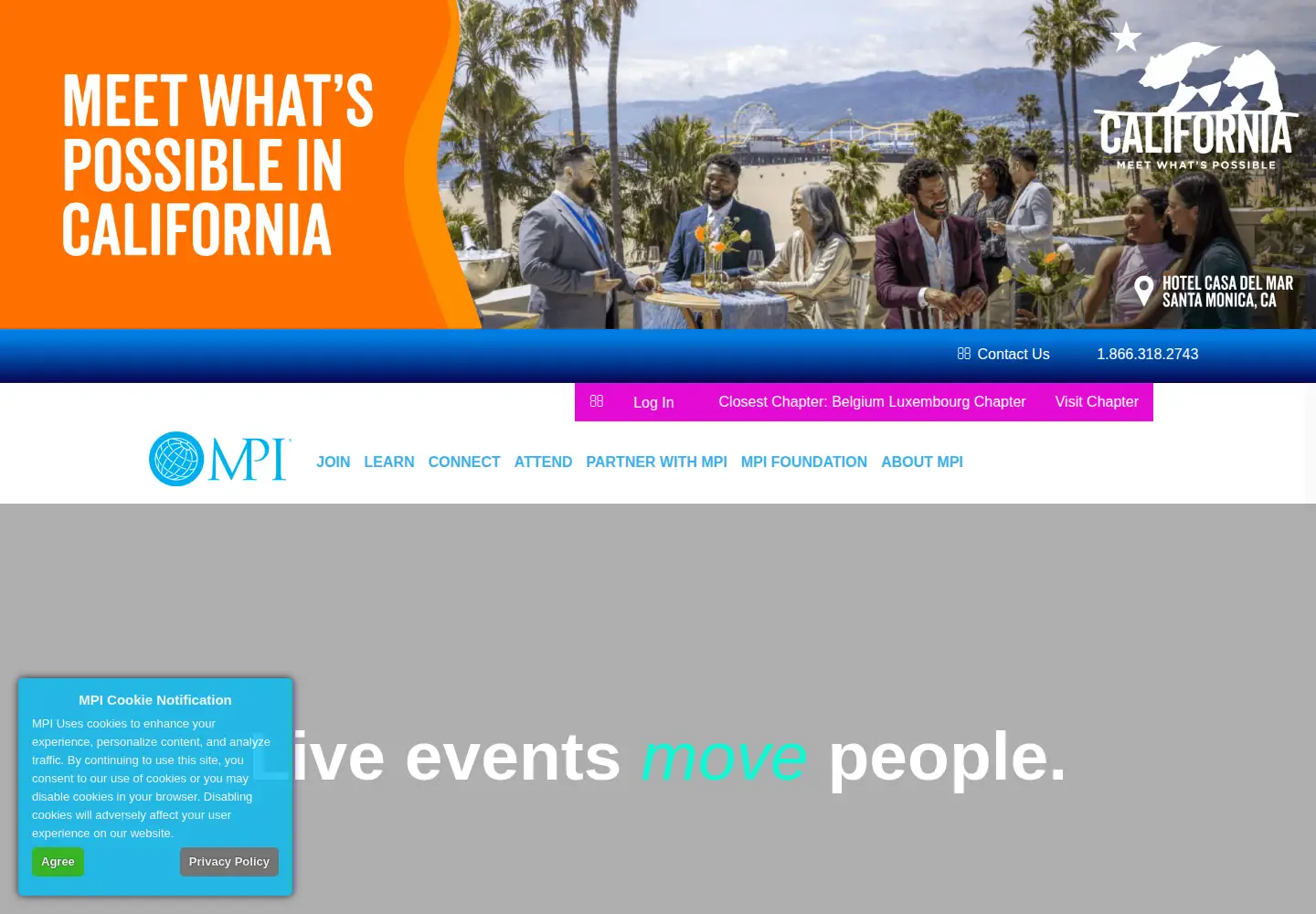 Captured homepage of mpi.org in the current scan