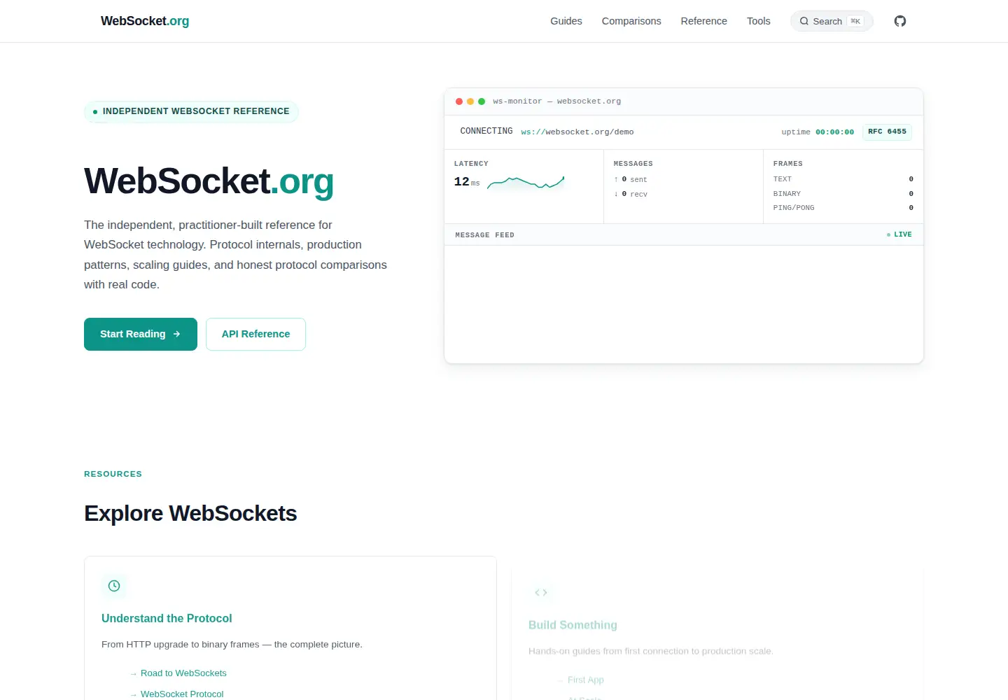 Captured homepage of websocket.org in the current scan