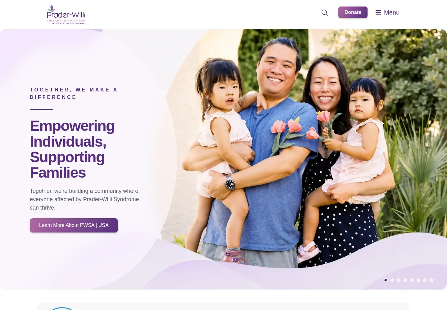 Screenshot of pwsausa.org