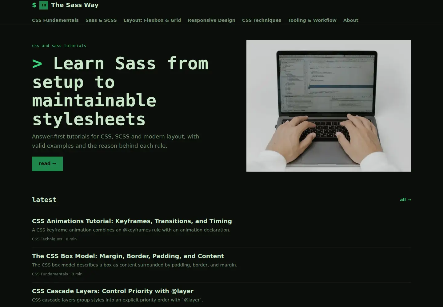 Captured homepage of thesassway.com in the current scan