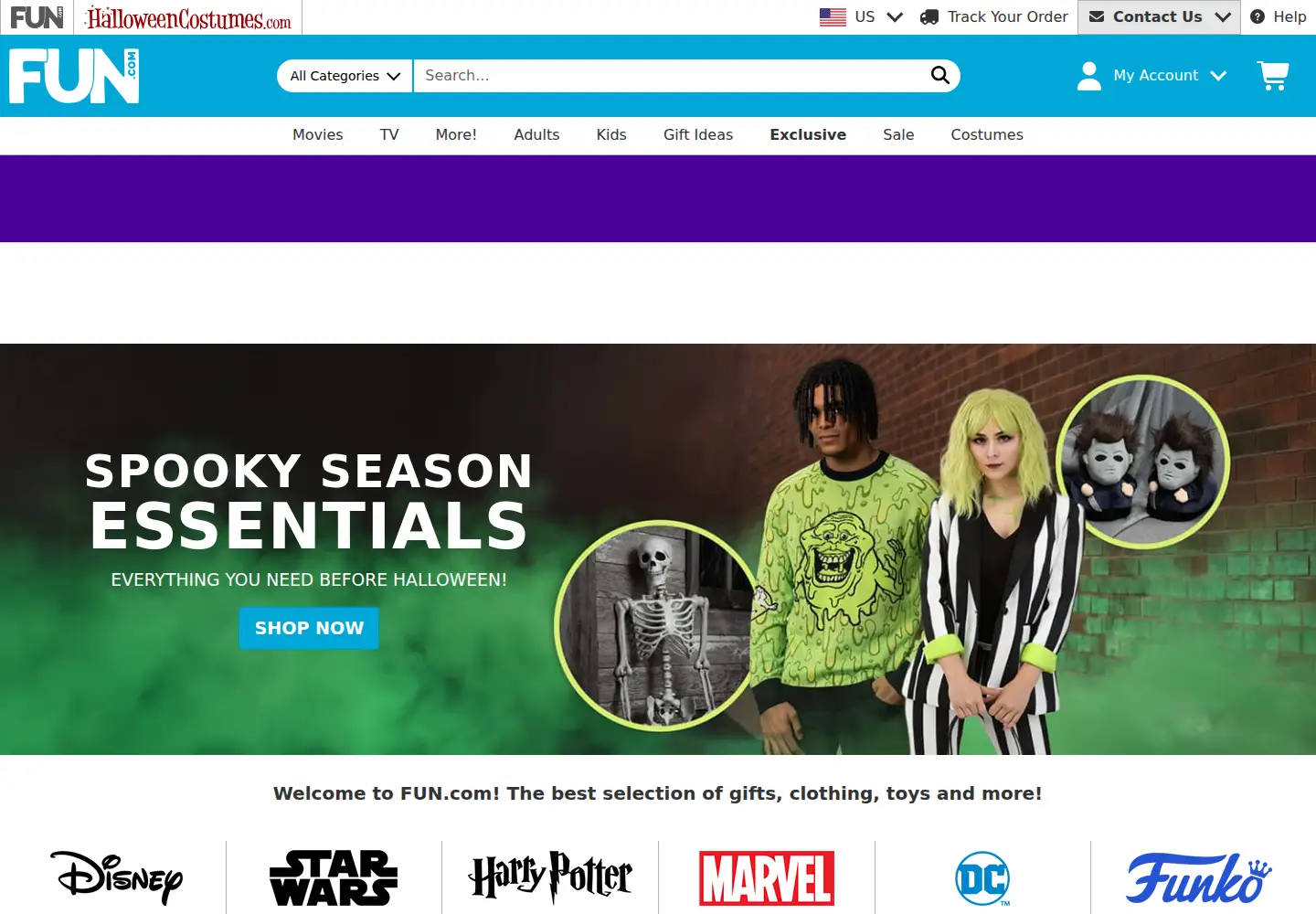Captured homepage of fun.com in the current scan