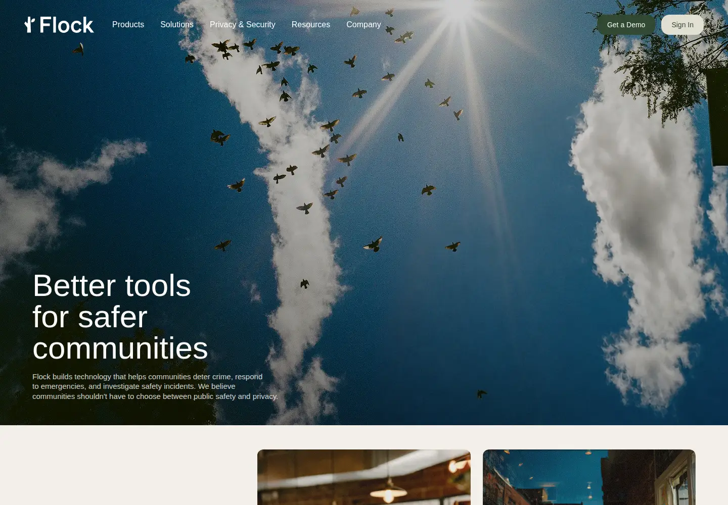 Captured homepage of flocksafety.com in the current scan
