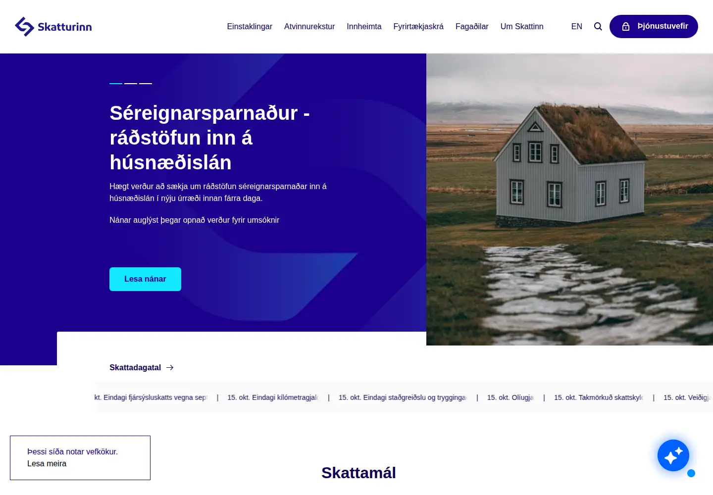 Captured homepage of skatturinn.is in the current scan