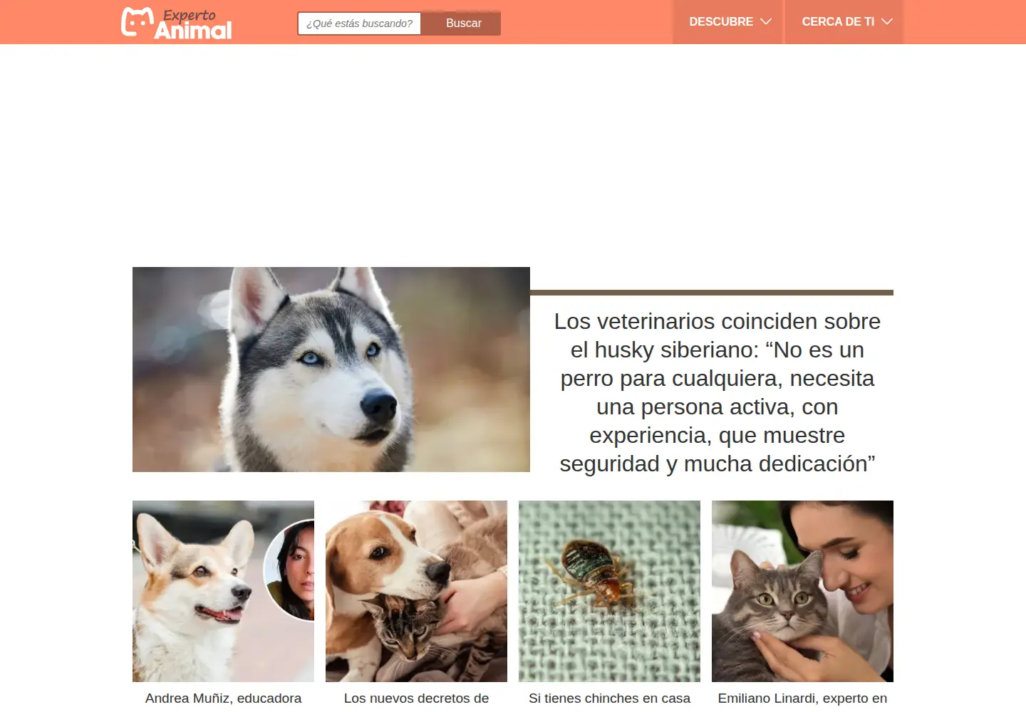 Screenshot of expertoanimal.com