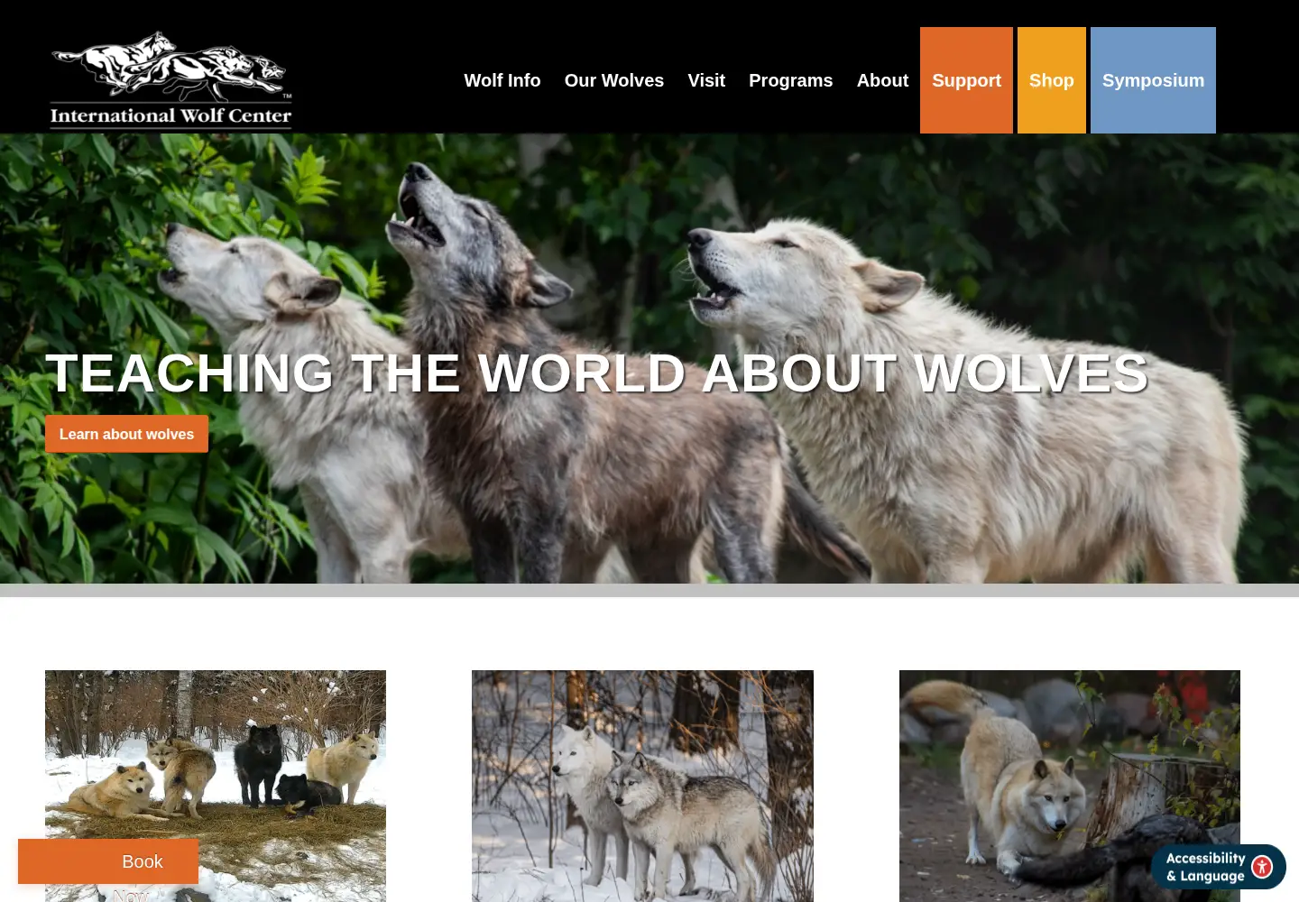 Captured homepage of wolf.org in the current scan