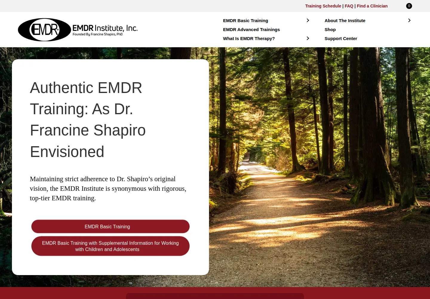 Captured homepage of emdr.com in the current scan