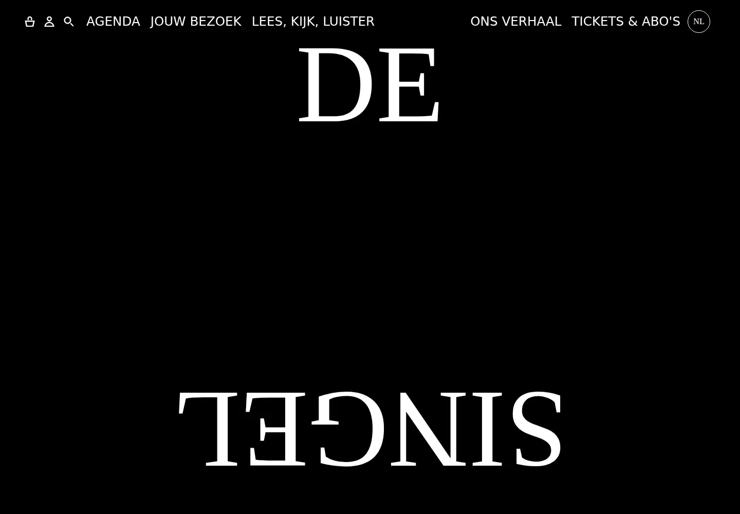 Captured homepage of desingel.be in the current scan