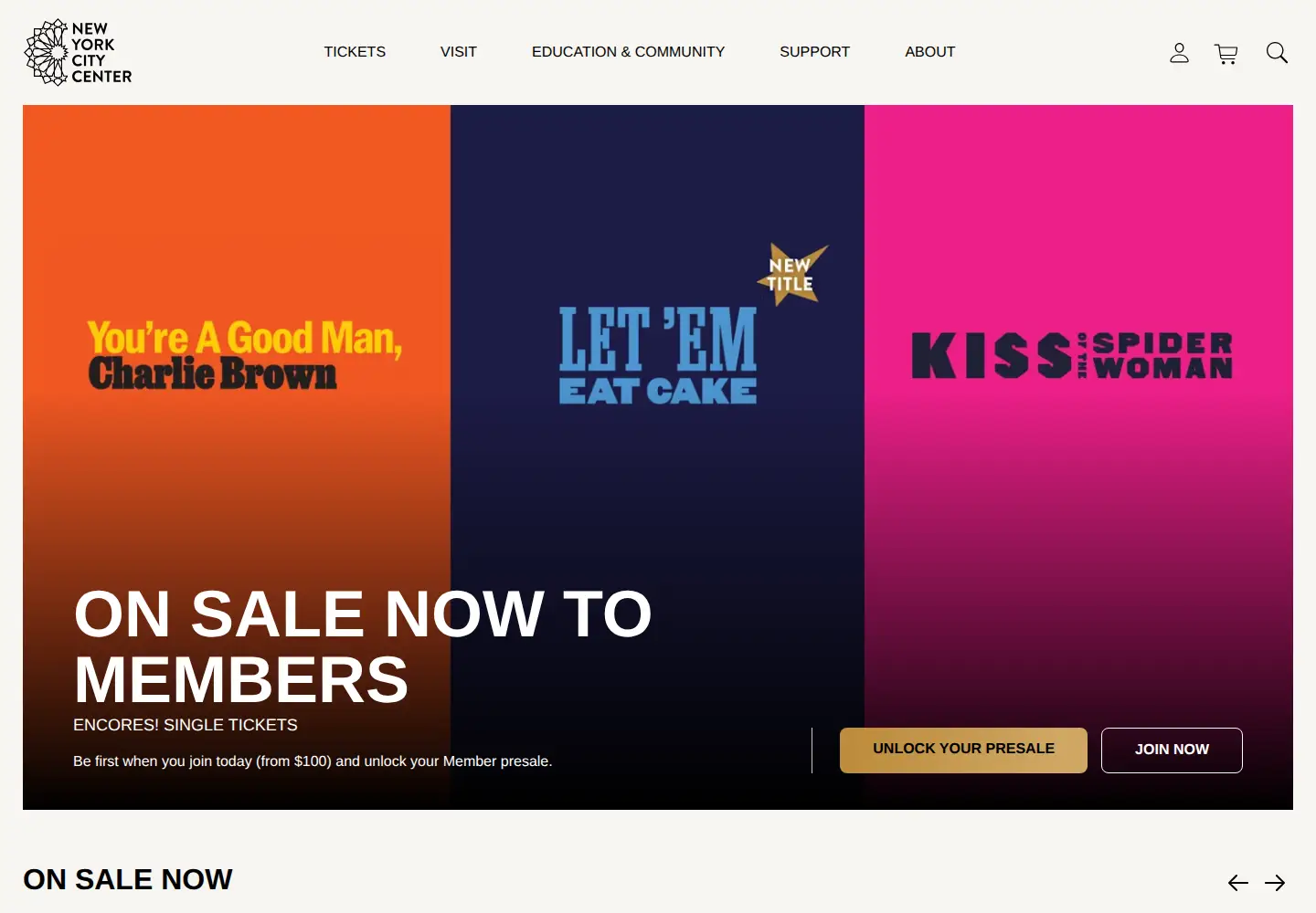 Screenshot of nycitycenter.org