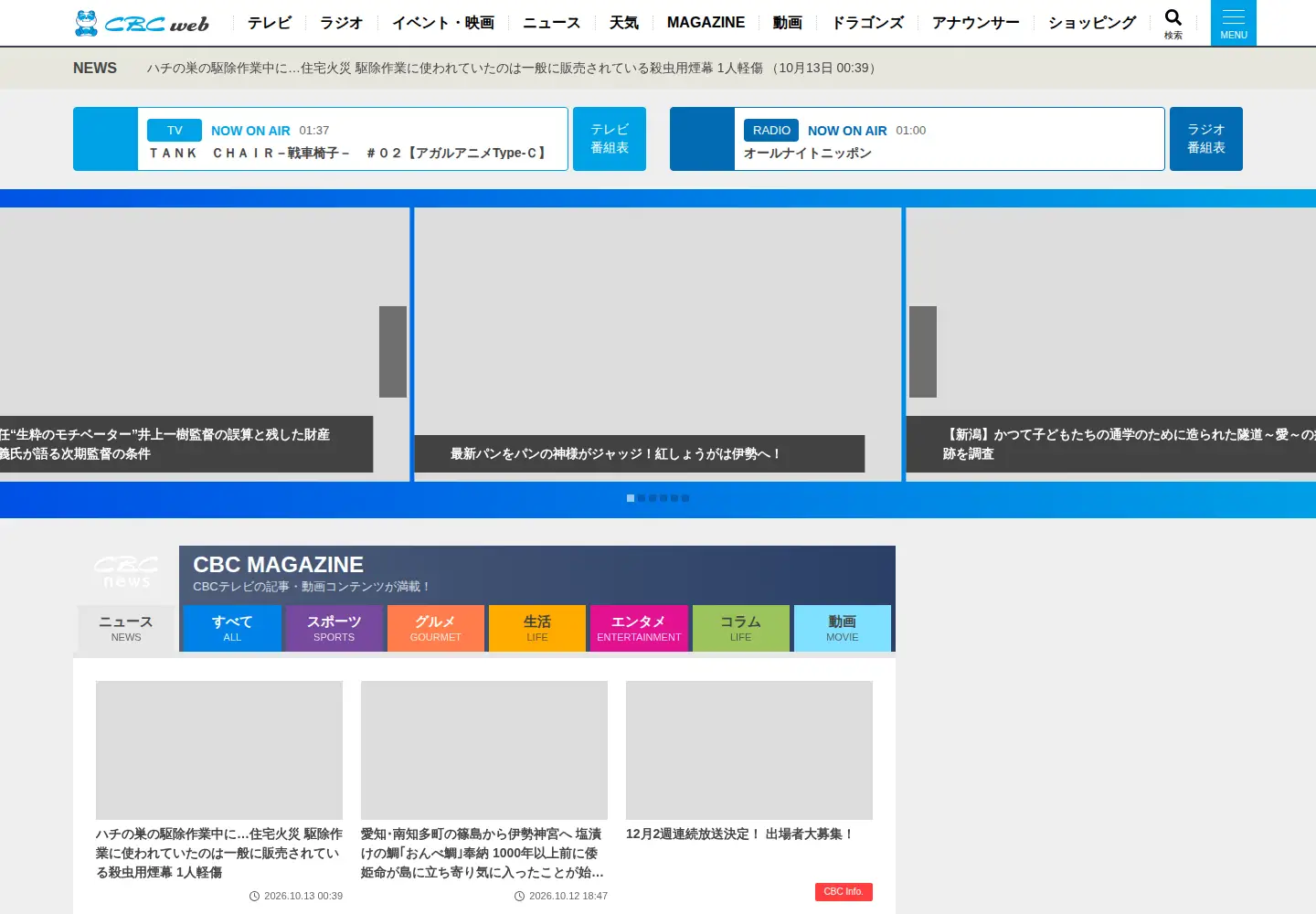 Captured homepage of hicbc.com in the current scan