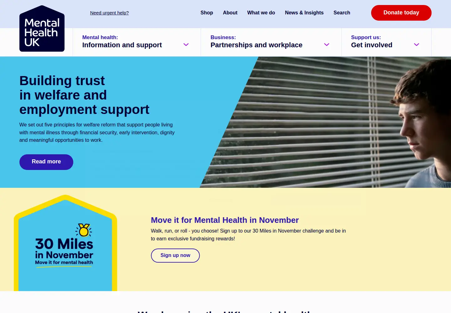 Captured homepage of mentalhealth-uk.org in the current scan