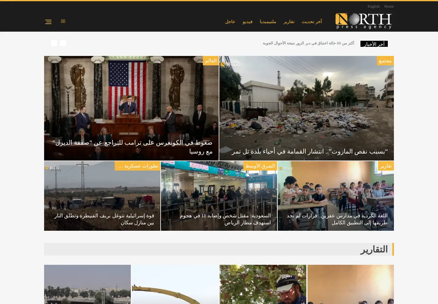 Screenshot of npasyria.com
