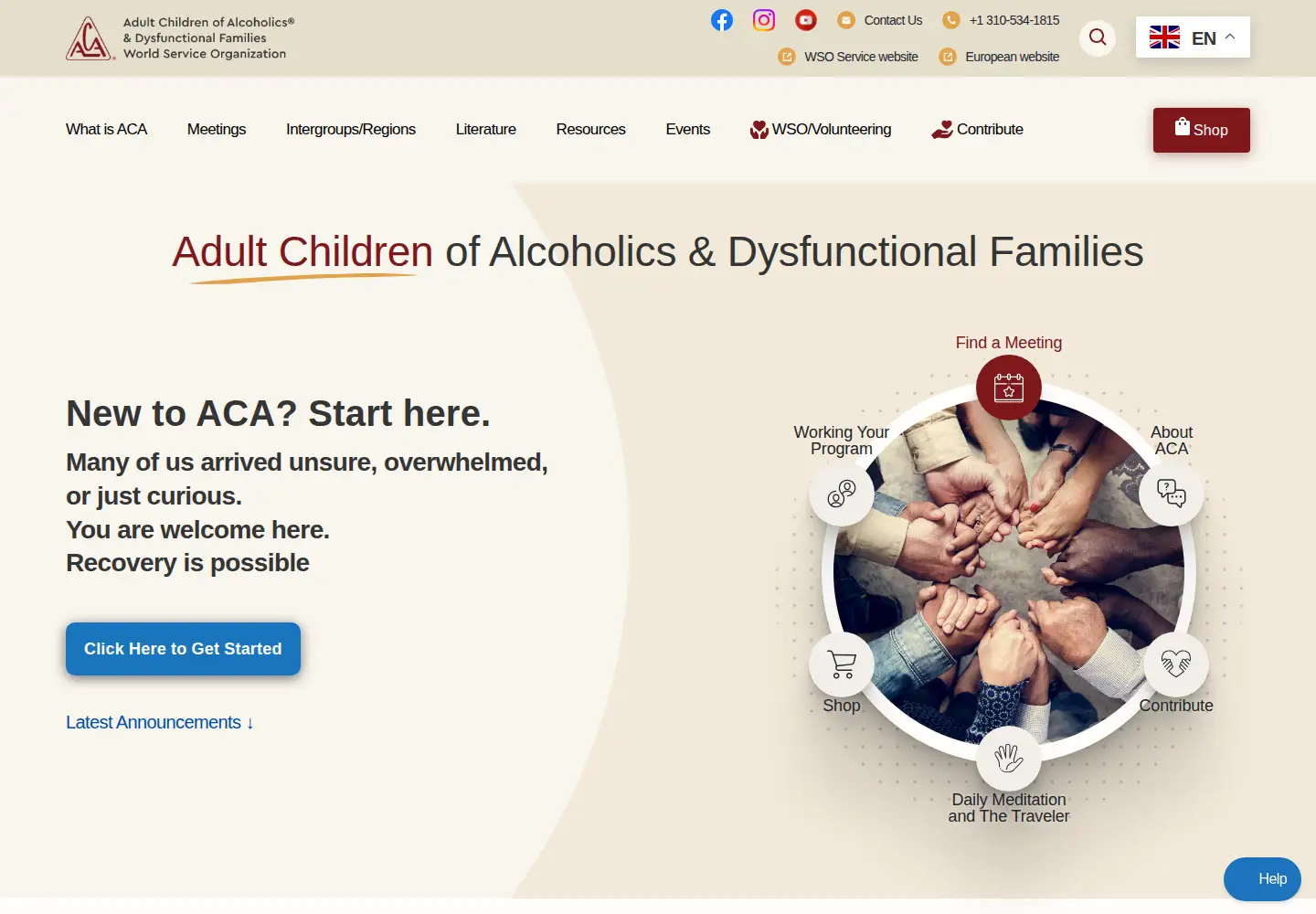 Screenshot of adultchildren.org