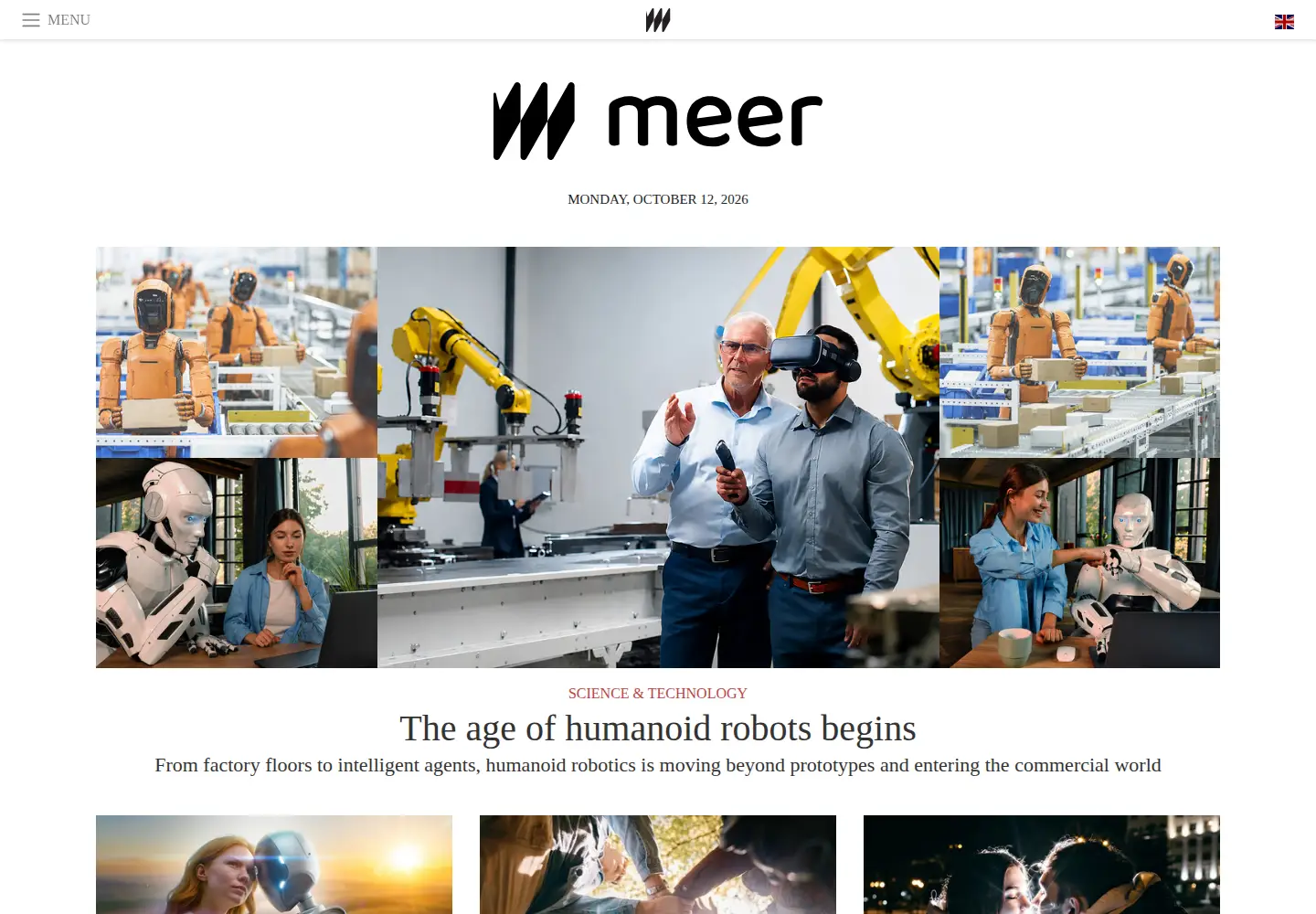 Captured homepage of meer.com in the current scan