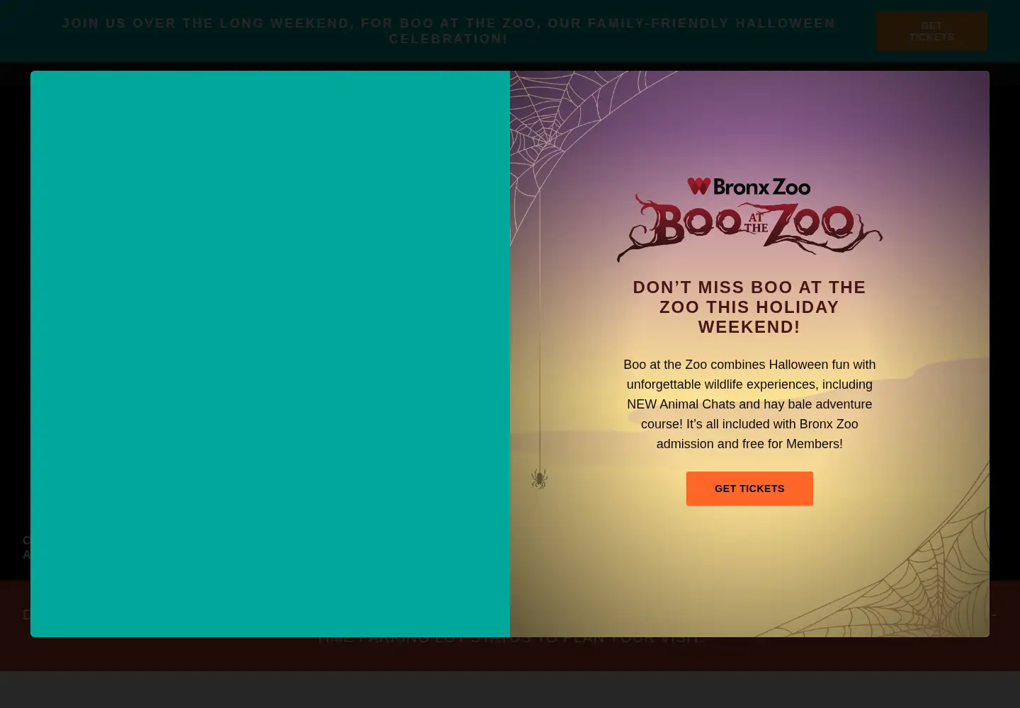 Captured homepage of bronxzoo.com in the current scan