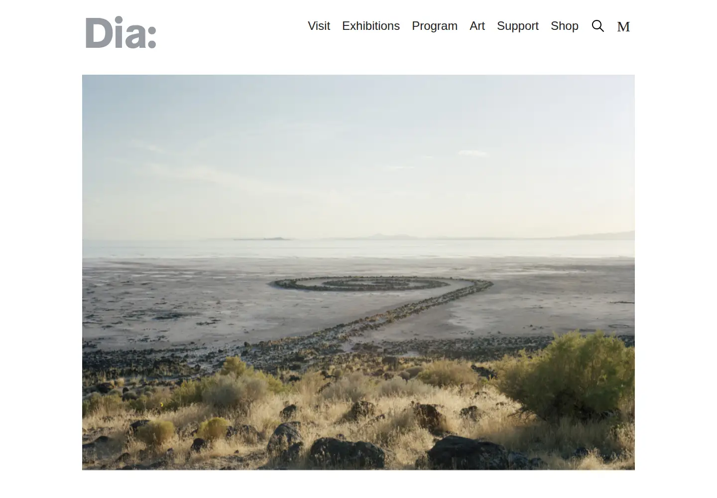Screenshot of diaart.org