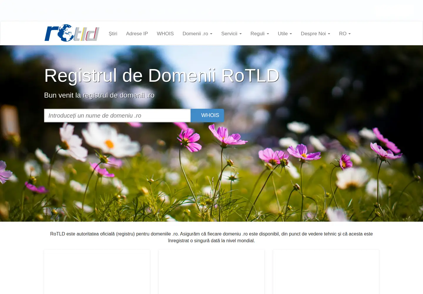 Screenshot of rotld.ro