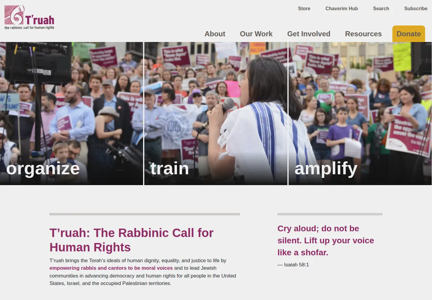 Captured homepage of truah.org in the current scan
