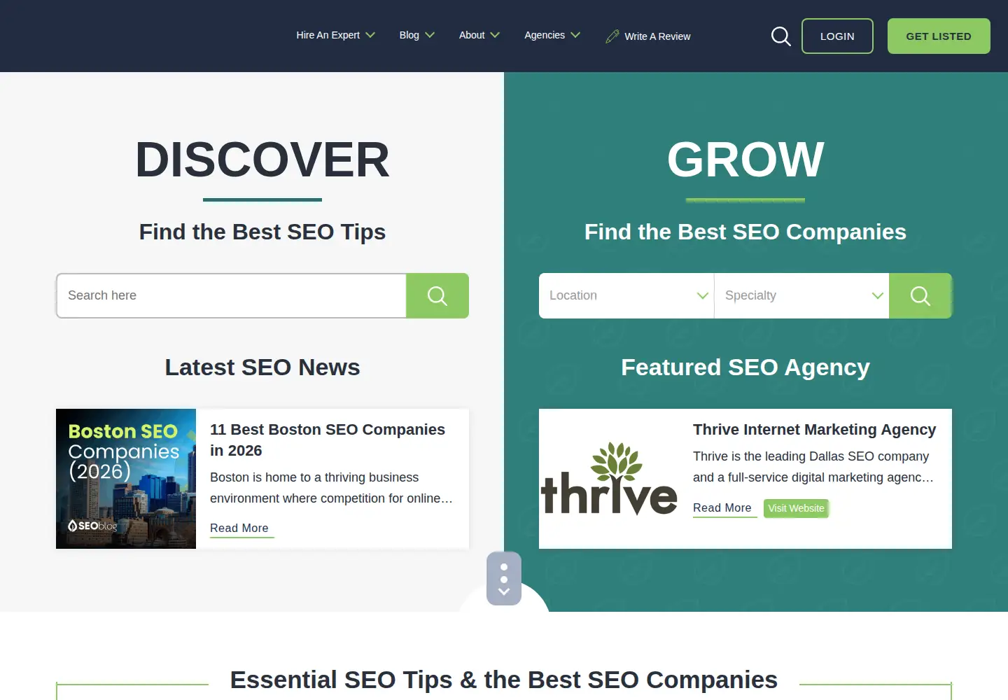 Captured homepage of seoblog.com in the current scan