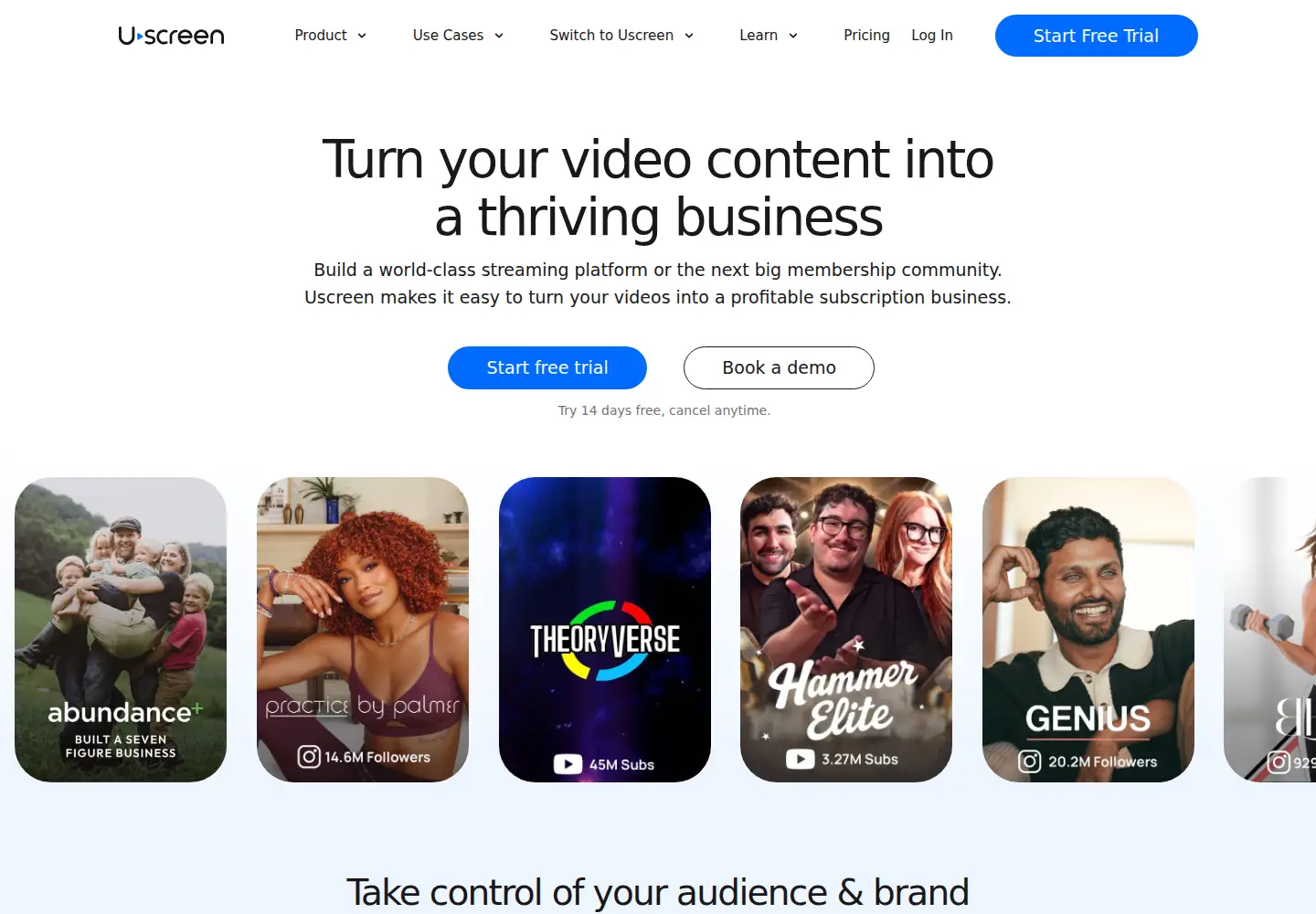 Captured homepage of uscreen.tv in the current scan
