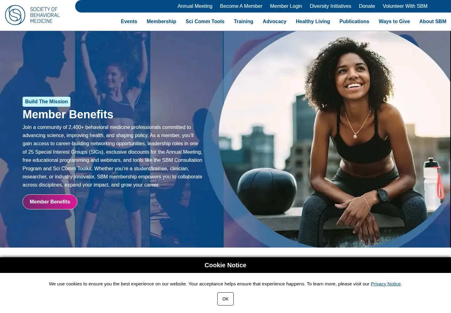 Screenshot of sbm.org