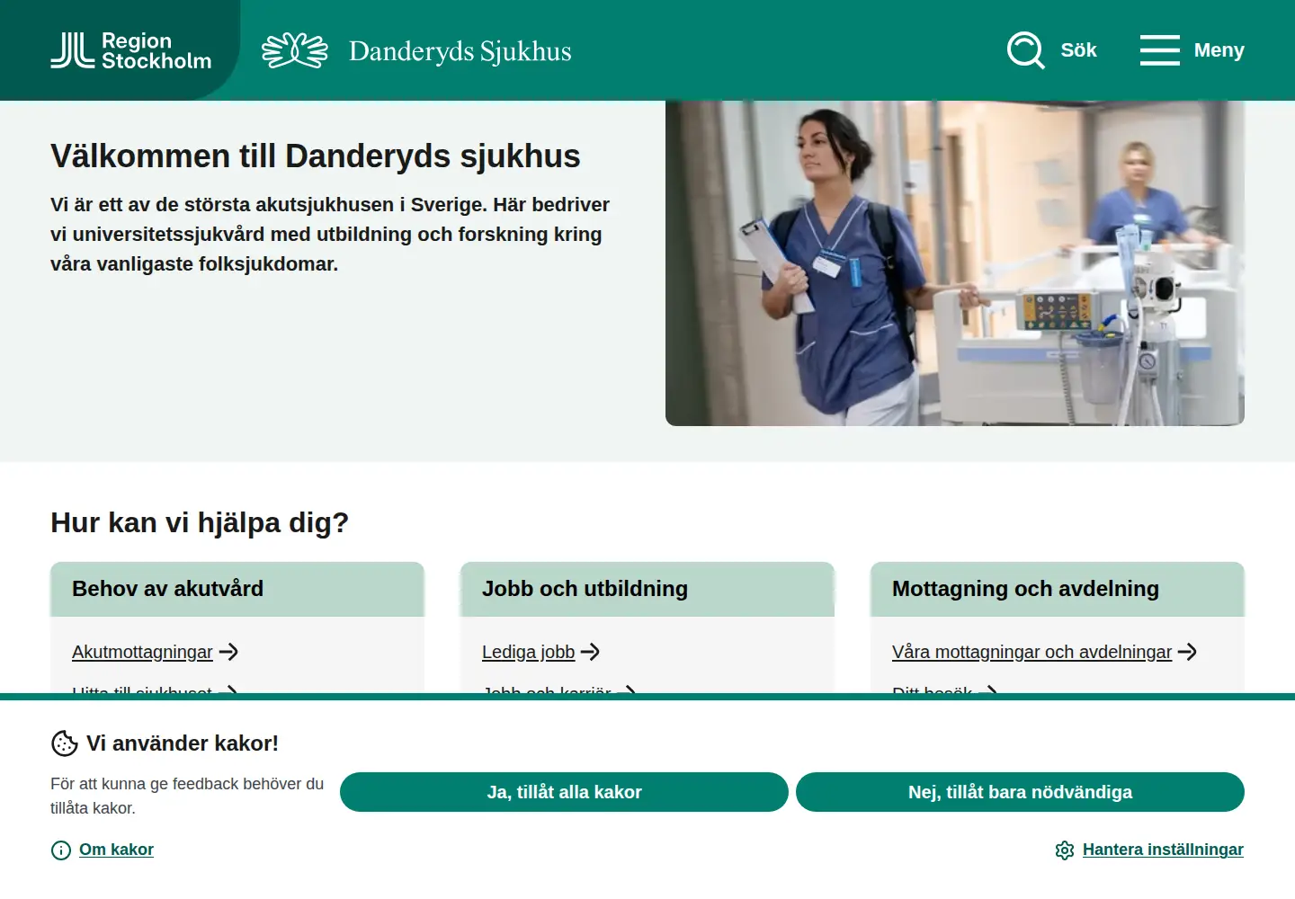 Screenshot of ds.se