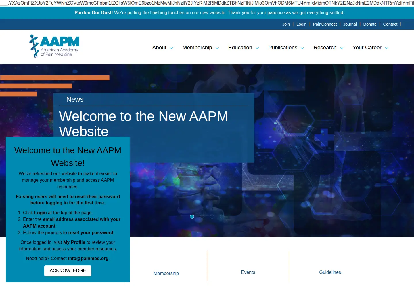 Captured homepage of painmed.org in the current scan