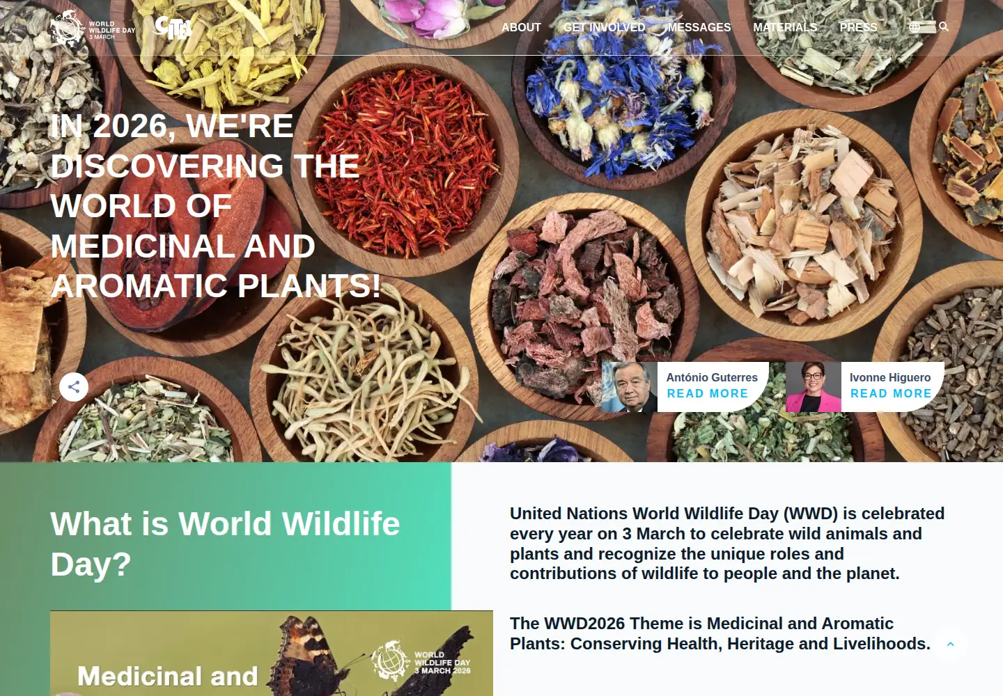 Captured homepage of wildlifeday.org in the current scan
