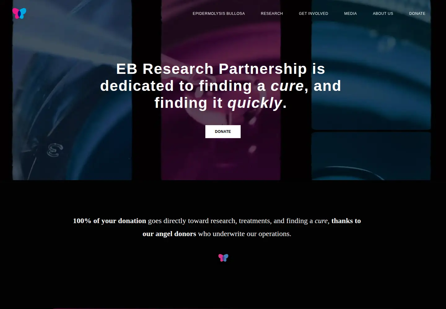 Screenshot of ebresearch.org