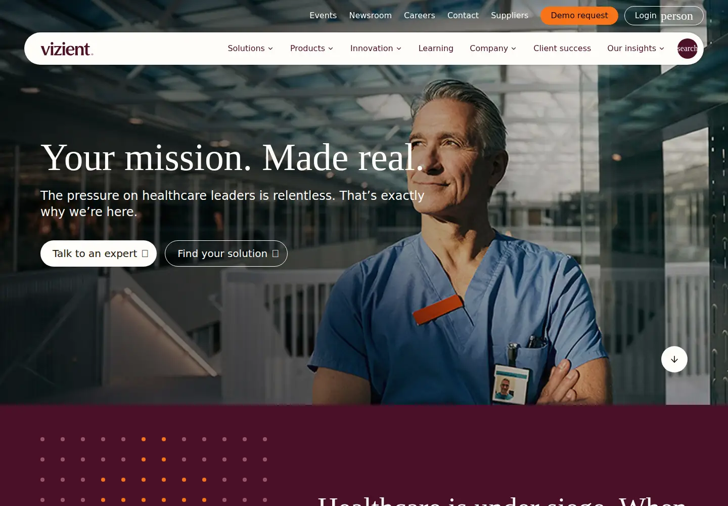 Captured homepage of vizientinc.com in the current scan