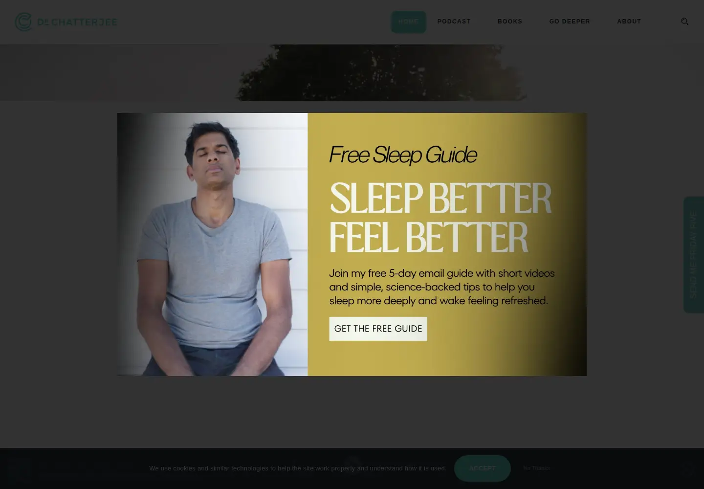 Captured homepage of drchatterjee.com in the current scan