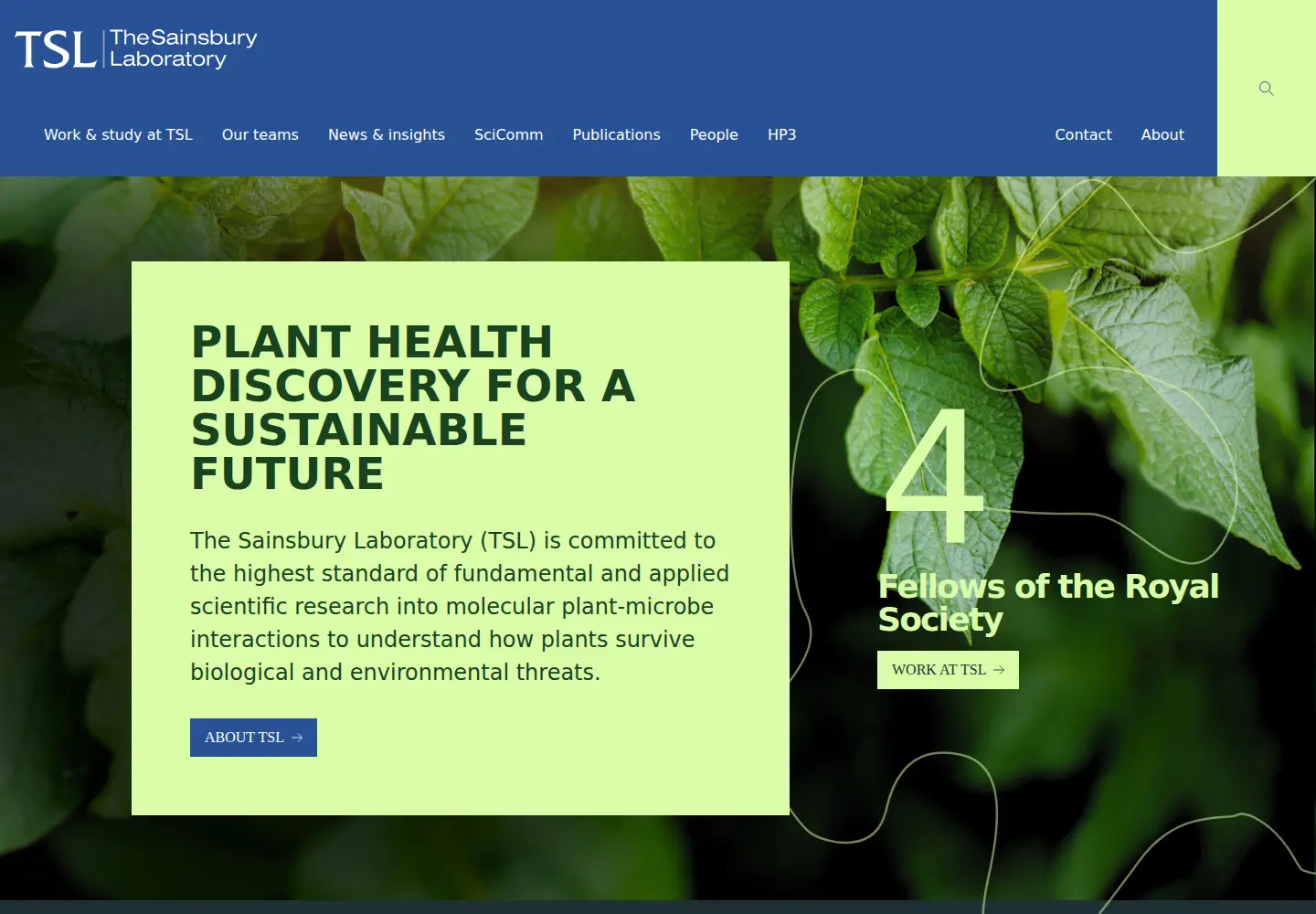 Screenshot of tsl.ac.uk