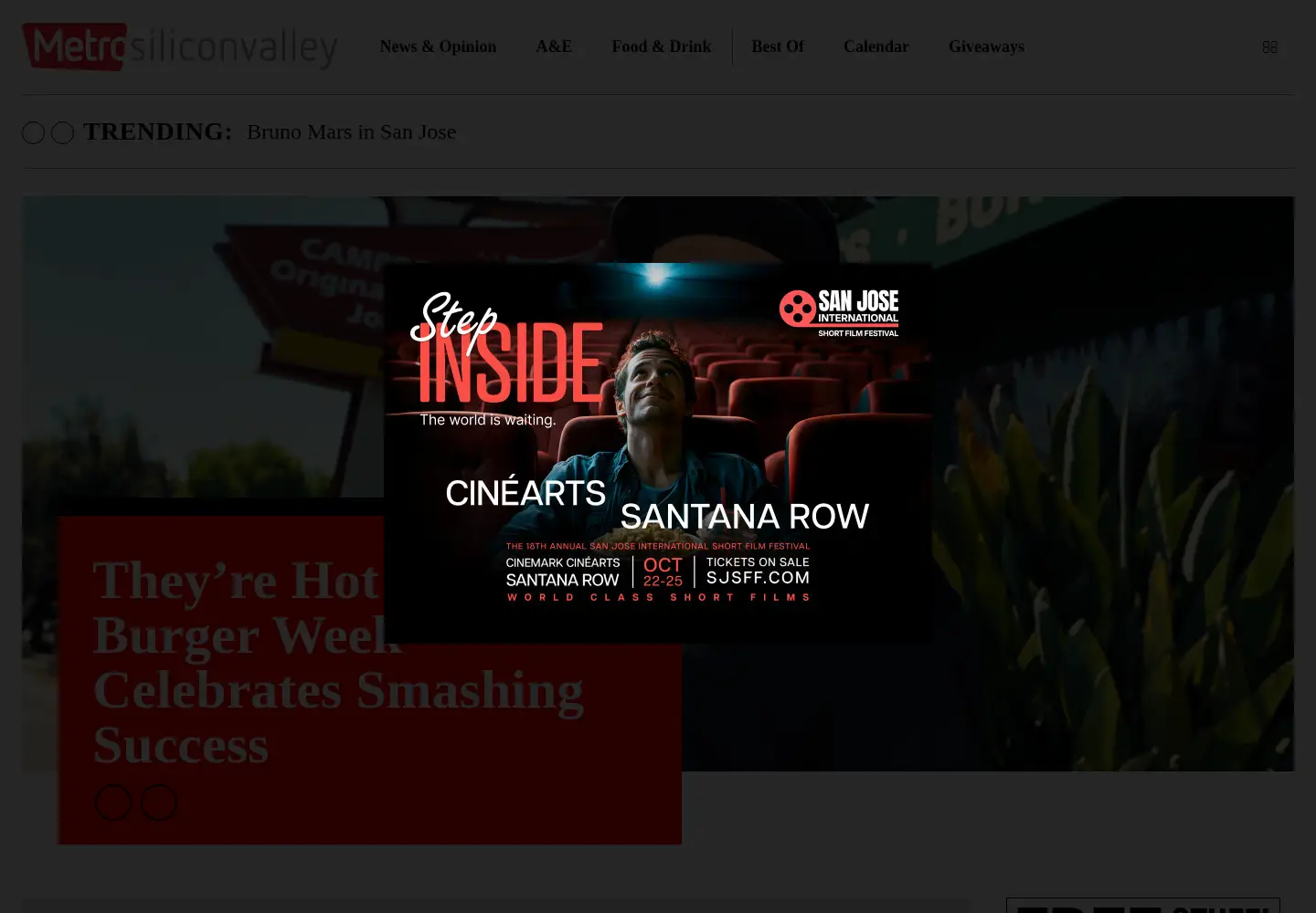 Screenshot of metrosiliconvalley.com