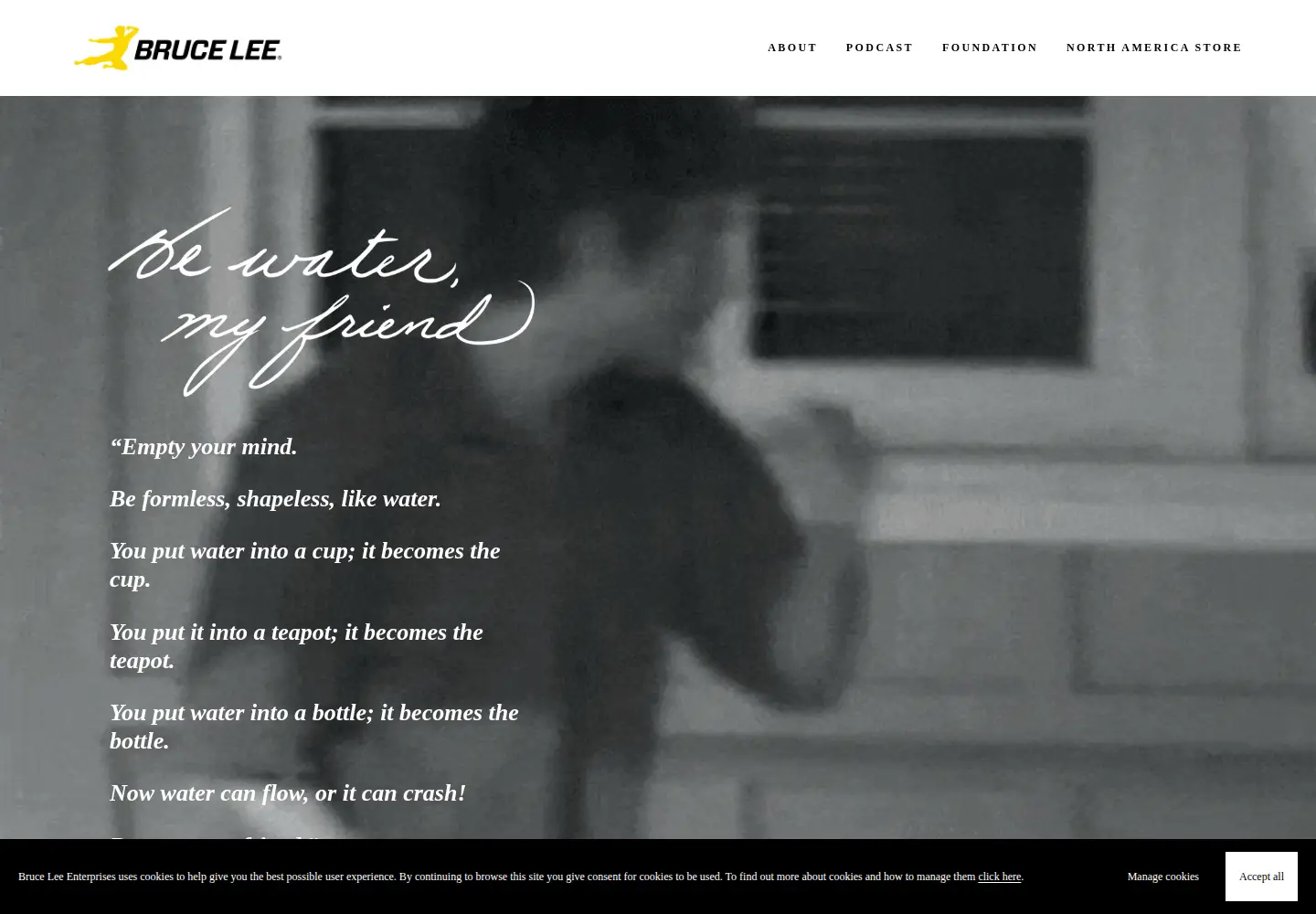 Screenshot of brucelee.com