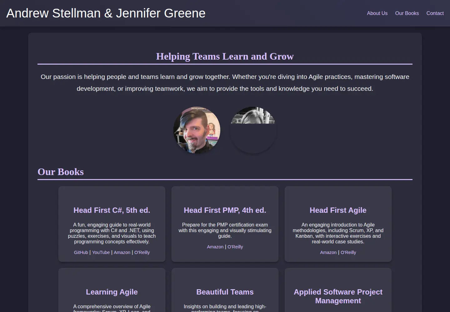 Screenshot of stellman-greene.com