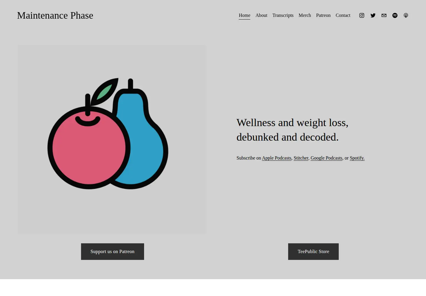 Captured homepage of maintenancephase.com in the current scan