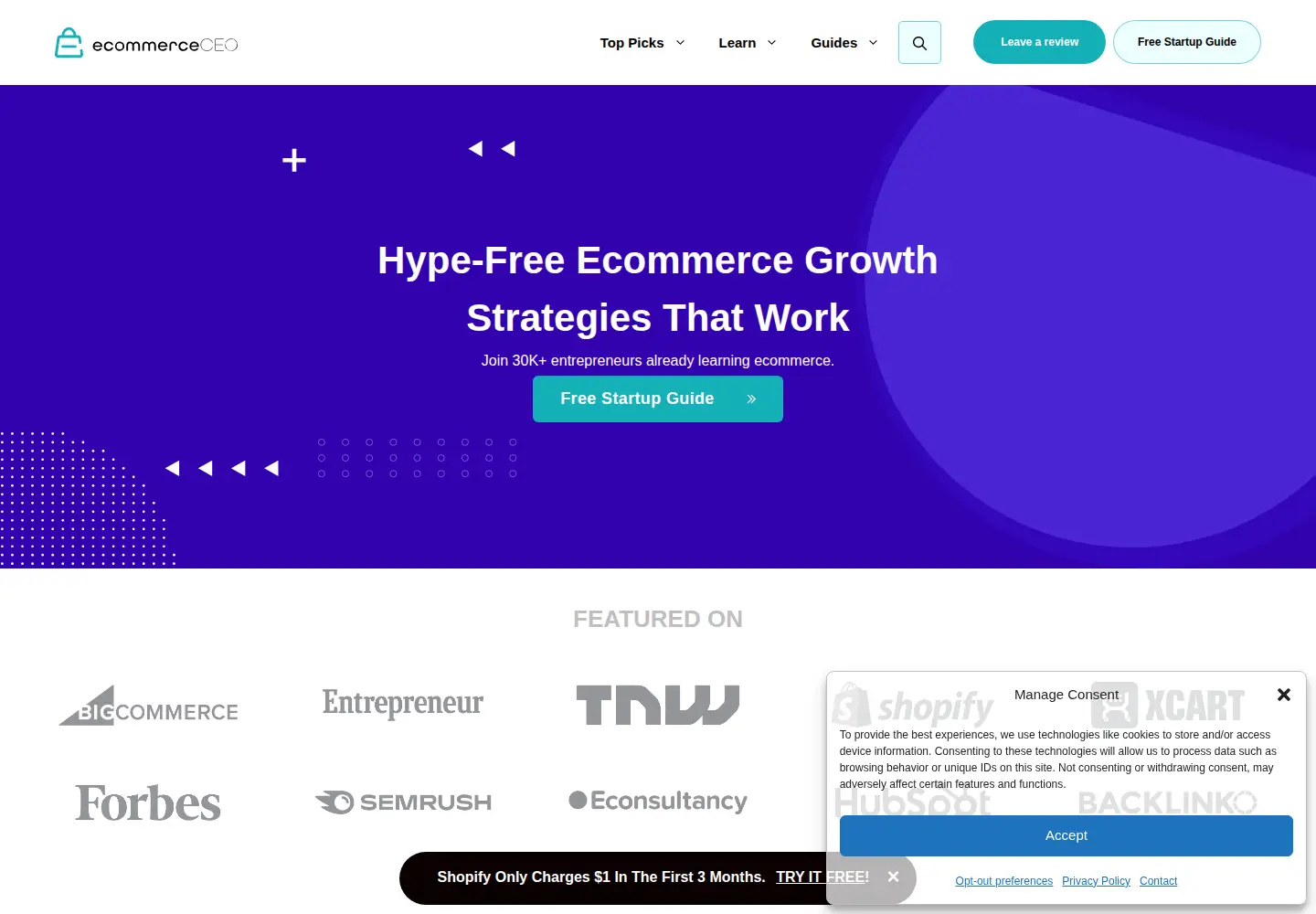 Screenshot of ecommerceceo.com