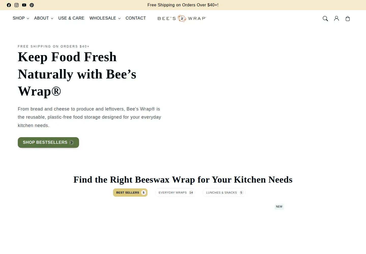 Captured homepage of beeswrap.com in the current scan
