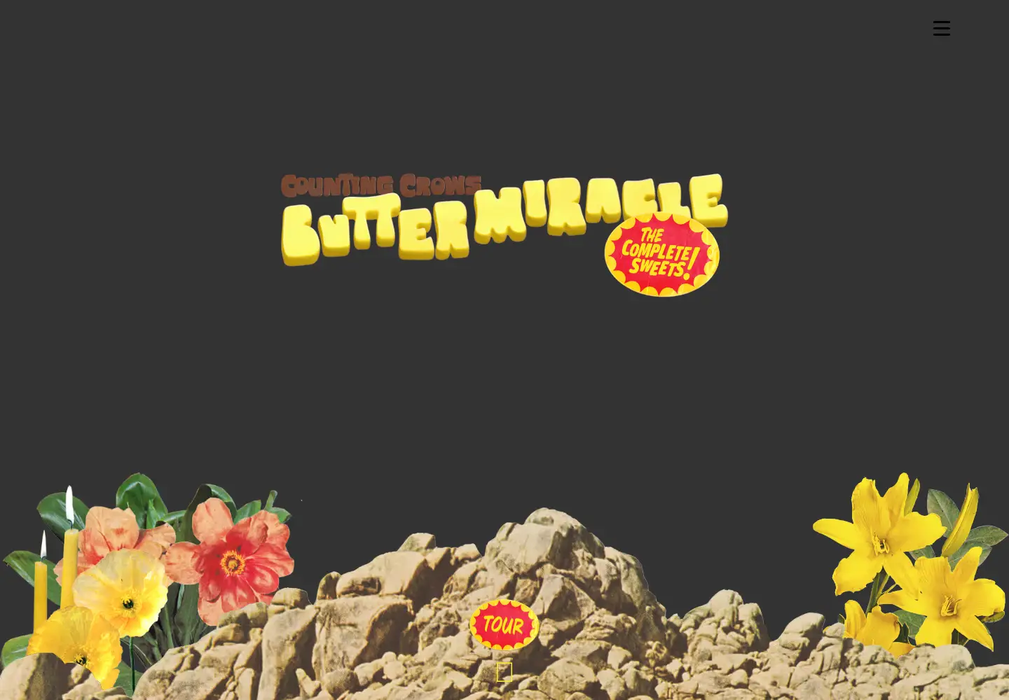 Screenshot of countingcrows.com