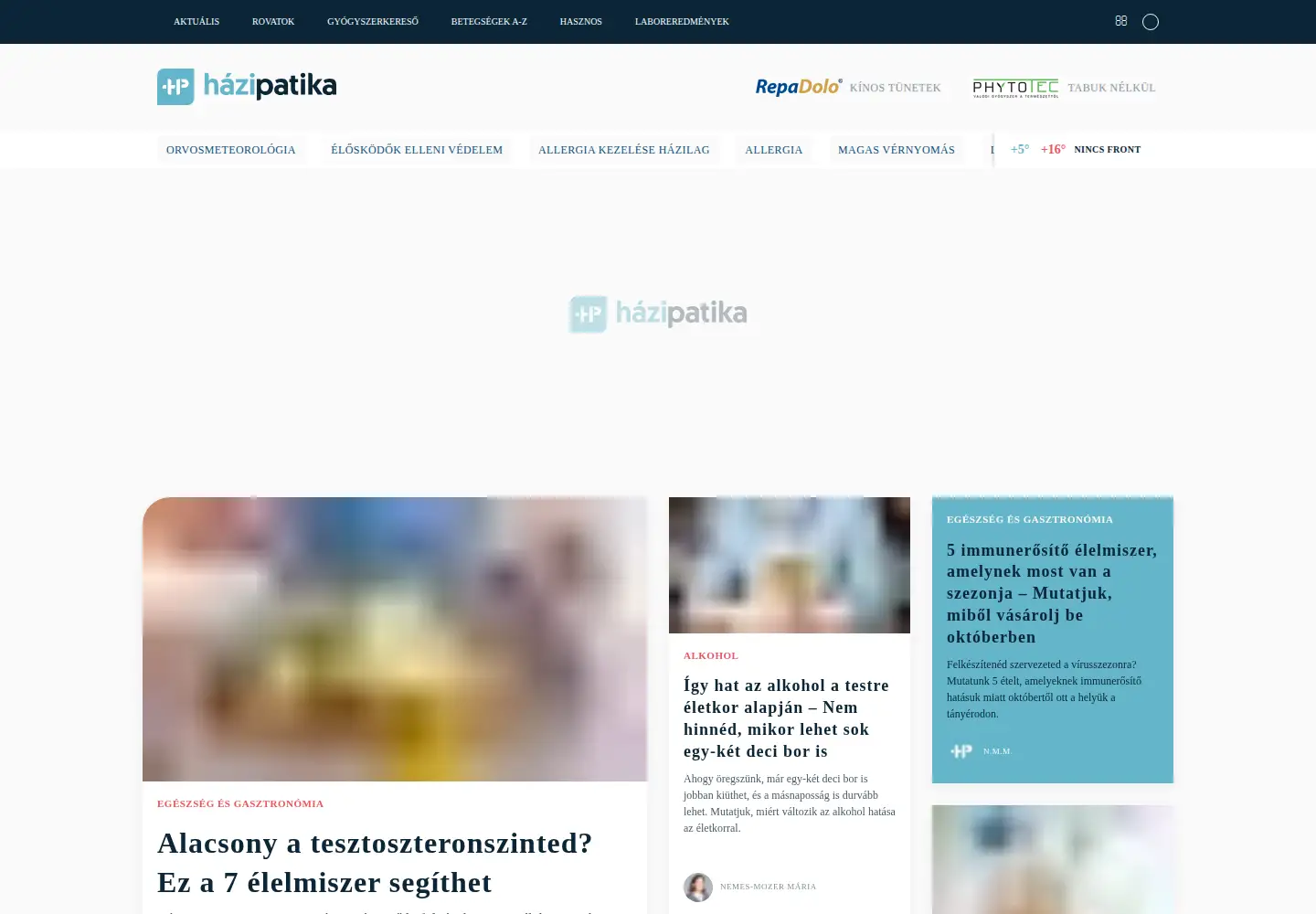 Screenshot of hazipatika.com