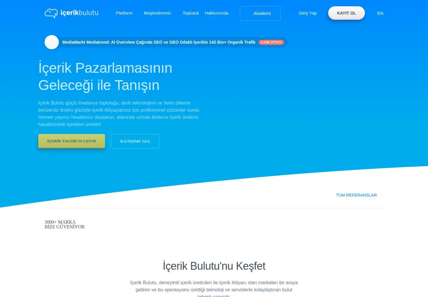 Captured homepage of icerikbulutu.com in the current scan