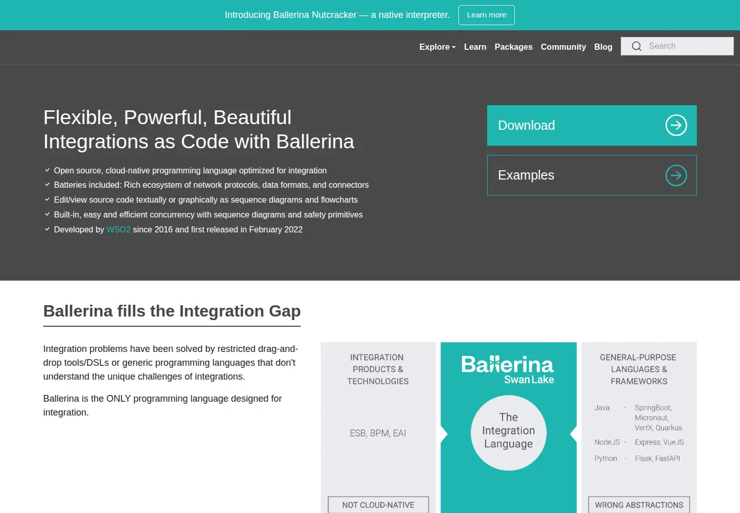 Screenshot of ballerina.io