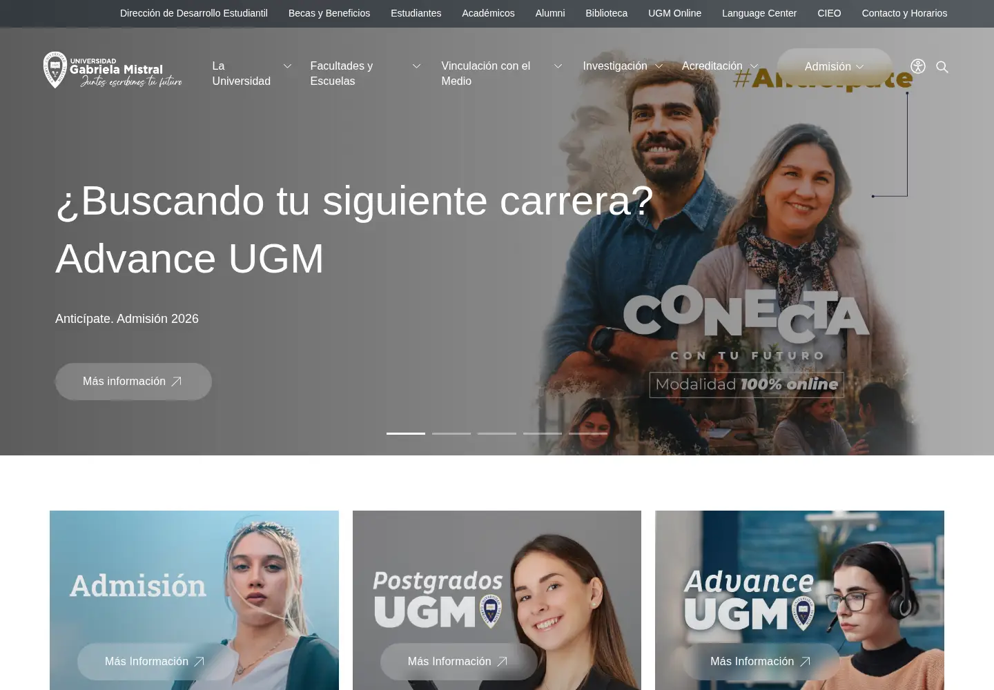 Screenshot of ugm.cl