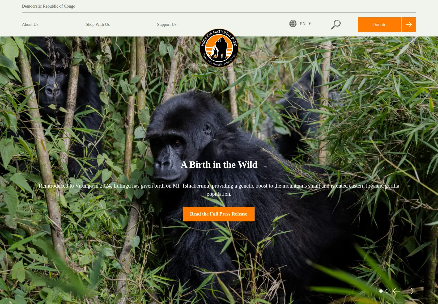 Screenshot of virunga.org