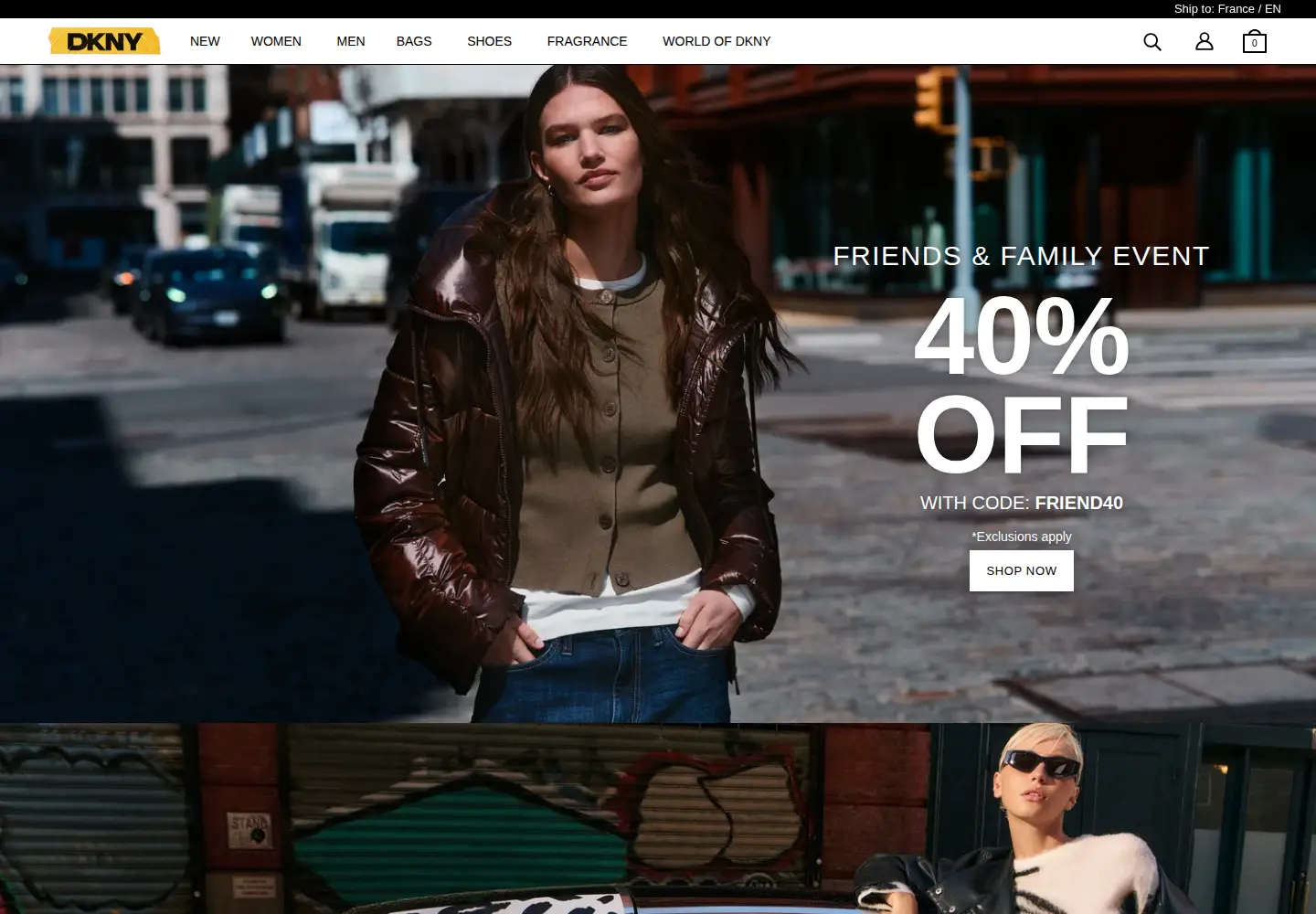 Captured homepage of dkny.com in the current scan
