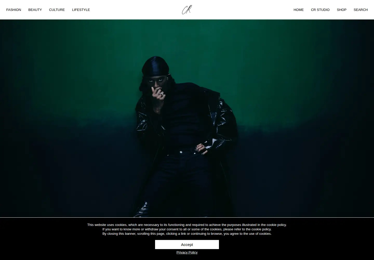 Captured homepage of crfashionbook.com in the current scan