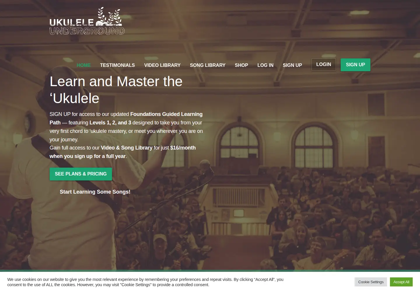 Captured homepage of ukuleleunderground.com in the current scan