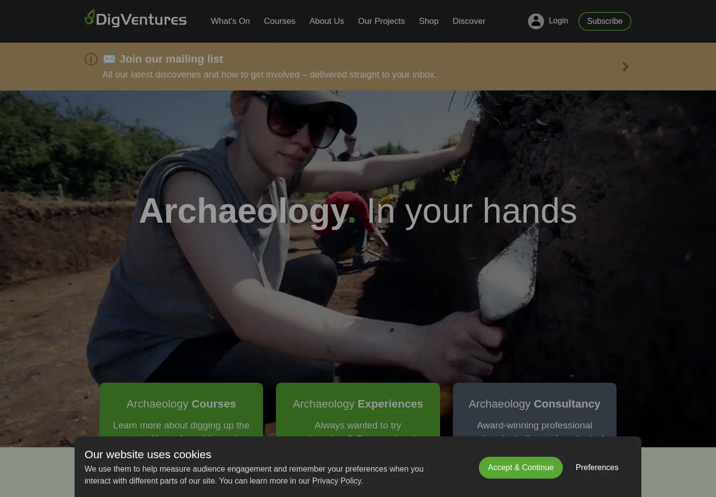 Captured homepage of digventures.com in the current scan