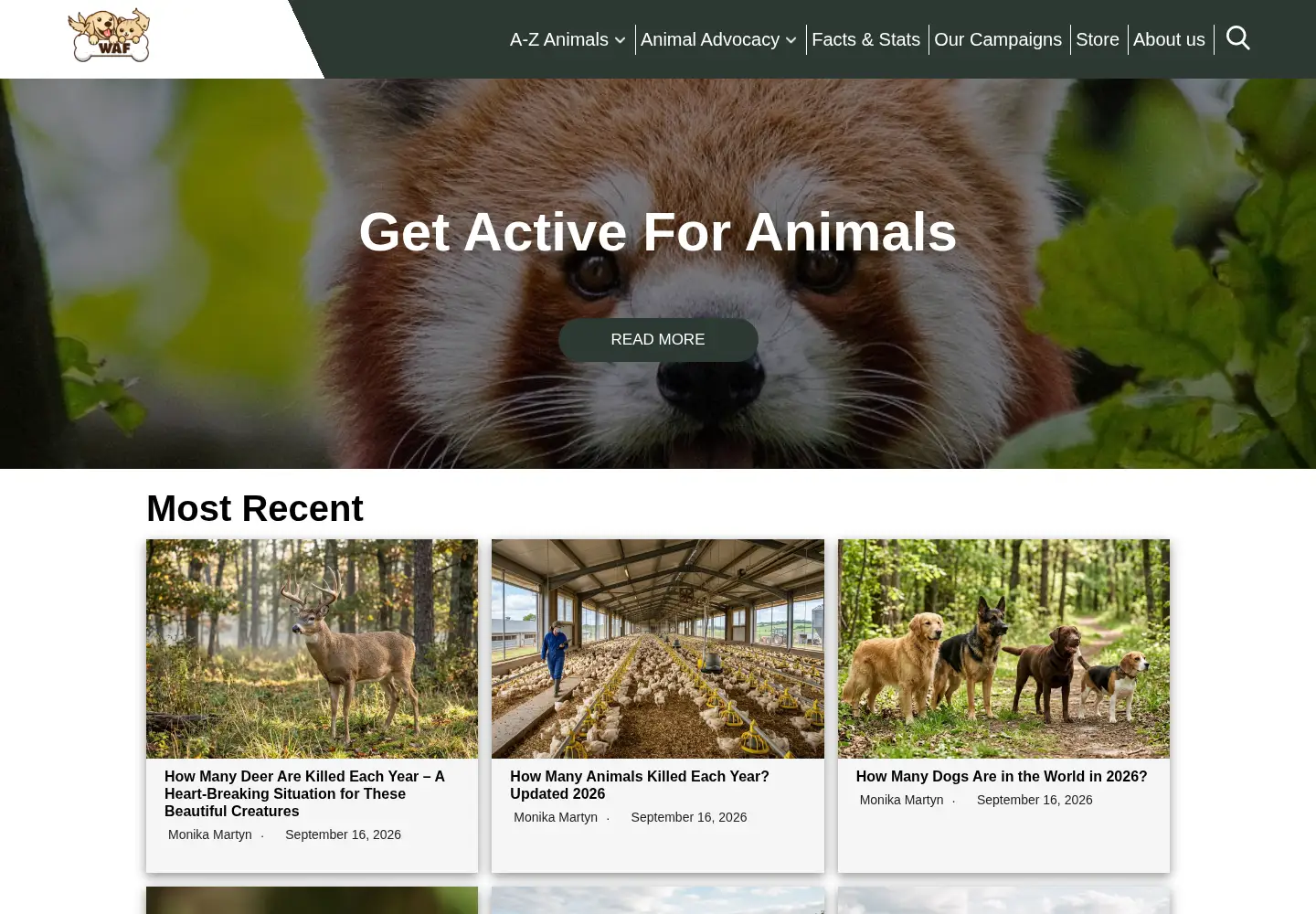 Captured homepage of worldanimalfoundation.org in the current scan