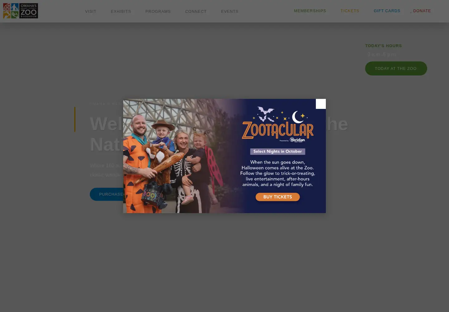 Captured homepage of omahazoo.com in the current scan